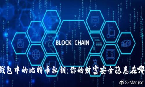 热钱包中的比特币私钥:你的财富安全隐患在哪里?