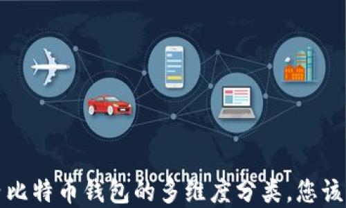 
 探索国内比特币钱包的多维度分类，您该如何选择？