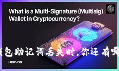 当你的Tokenim钱包助记词丢失时，你还有哪些恢复的可能性？