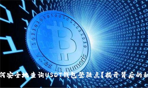 如何安全地查询USDT钱包登陆点？揭开背后的秘密