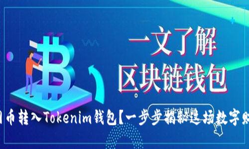 如何成功将主网币转入Tokenim钱包？一步步揭秘这场数字财富的冒险之旅！