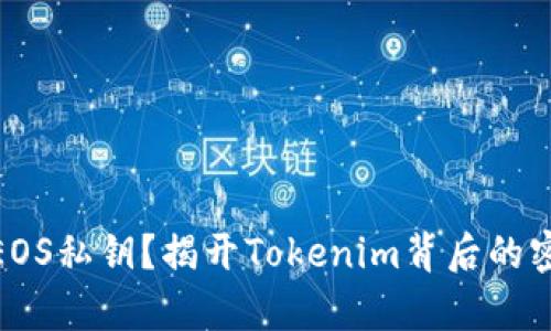 如何验证EOS私钥？揭开Tokenim背后的密码学之谜