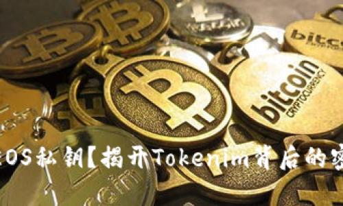 如何验证EOS私钥？揭开Tokenim背后的密码学之谜