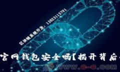 狗狗币官网钱包安全吗？