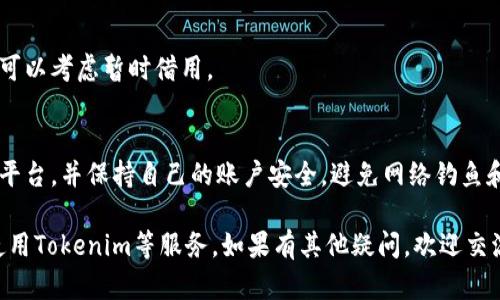 如果你在使用Tokenim但没有BNB（币安币），可能会遇到一些问题，因为BNB在币安生态系统中扮演着重要的角色。以下是一些解决方案以及相关信息：

### 1. 了解BNB的角色
BNB是币安平台的原生代币，用户在使用币安的各种服务时，常常需要使用BNB。例如，进行交易、支付手续费、参与新币发行等。

### 2. 如何获取BNB
如果你没有BNB，可以通过以下方式获取：
- 交易所购买
你可以在其他交易所如Coinbase、Huobi等通过法币购买BNB。在购买之前，确保你了解相关费用和流程。

- 通过币安交易
在币安平台上，你可以直接使用其他加密货币交易BNB。确保你在注册时完成KYC（身份验证）。

- 赚取BNB
你可以通过质押、流动性挖矿等方式在DeFi平台上赚取BNB。

### 3. 使用Tokenim的替代方案
如果你急需使用Tokenim但没有BNB，可能需要寻找替代方案：
- 使用其他代币
某些平台允许使用其他币种进行交易，检查Tokenim是否接受其他代币的使用。

- 借用BNB
如果你认识的朋友或在加密社区里有持有BNB的人，可以考虑暂时借用。

### 4. 注意安全
在获取和使用BNB的过程中，请确保使用安全可靠的平台，并保持自己的账户安全，避免网络钓鱼和其他安全问题。

通过以上方法，你可以解决没有BNB的问题，并顺利使用Tokenim等服务。如果有其他疑问，欢迎交流！