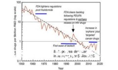 如何轻松生成您的USDT钱包