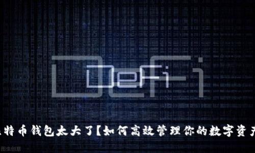 比特币钱包太大了？如何高效管理你的数字资产？