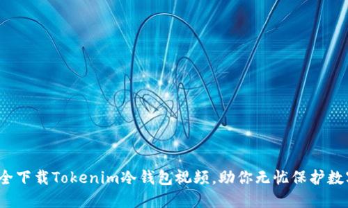 如何安全下载Tokenim冷钱包视频，助你无忧保护数字资产？