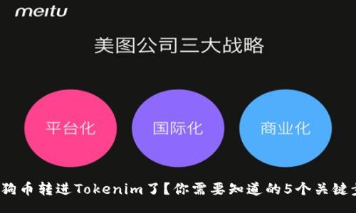 div
: 狗狗币转进Tokenim了？你需要知道的5个关键步骤！