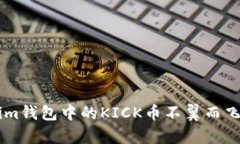 为什么你的Tokenim钱包中的KICK币不翼而飞？揭秘背