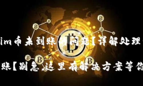 如何解决Tokenim币未到账的问题？详解处理步骤与经验分享

Tokenim币没到账？别急，这里有解决方案等你发现！