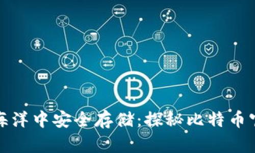 如何在数字货币的海洋中安全存储：探秘比特币官方离线钱包的秘密