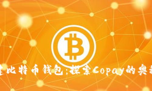 如何搭建比特币钱包：探索Copay的奥秘与便利