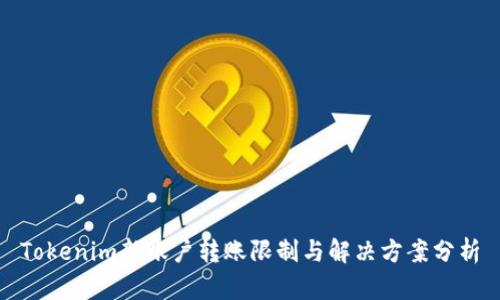 Tokenim新账户转账限制与解决方案分析