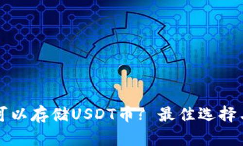 什么钱包可以存储USDT币? 最佳选择与使用指南