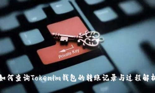 如何查询Tokenim钱包的转账记录与过程解析