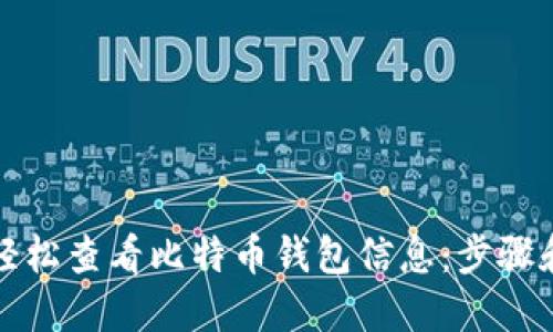 如何轻松查看比特币钱包信息：步骤和技巧