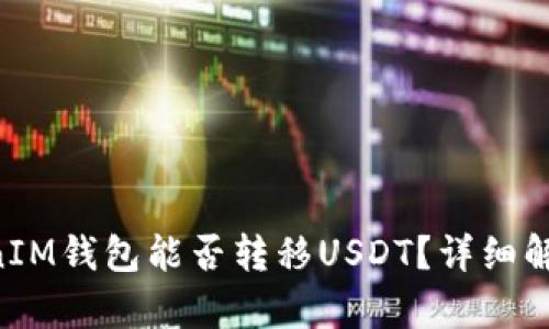 : TokenTokenIM钱包能否转移USDT？详细解析与使用指南