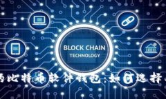 安全的比特币软件钱包：