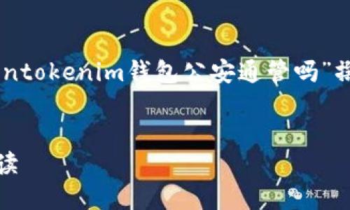 根据您提出的问题，以下将围绕“tokentokenim钱包公安通管吗”撰写一个的、关键词、内容大纲，问题等。


TokenTokenIM钱包安全性与监管解读