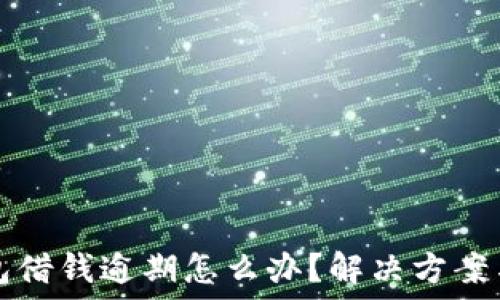   
OP钱包借钱逾期怎么办？解决方案与建议