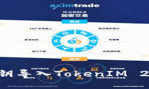 如何使用私钥导入TokenIM 2.0:详细指南