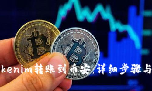 如何将Tokenim转账到币安：详细步骤与注意事项