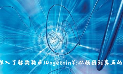 bianoti深入了解狗狗币（Dogecoin）：从模因到真正的数字货币