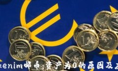 了解Tokenim邮币：资产为