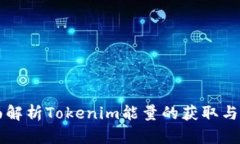 全面解析Tokenim能量的获取