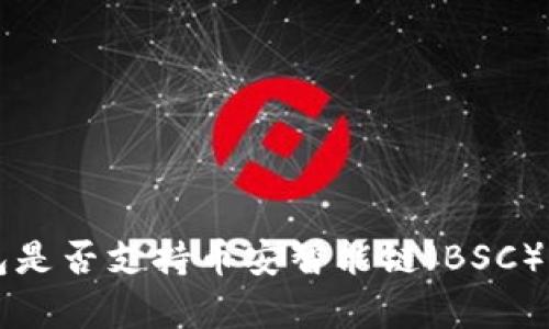 以太坊钱包是否支持币安智能链（BSC）的全面解析