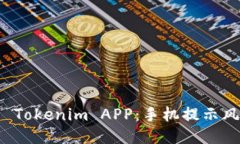 如何安全使用 Tokenim APP：手机提示风险的应对指