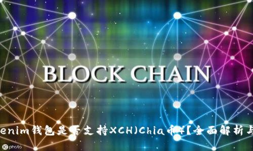 TokenTokenim钱包是否支持XCH（Chia币）？全面解析与使用指南