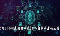钱包里的BDOGE是狗狗币吗？