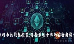 比特币热钱包推荐：选择