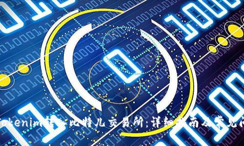 如何将Tokenim转入比特儿交易所：详细指南及常见问题解答