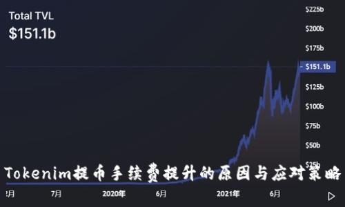 Tokenim提币手续费提升的原因与应对策略