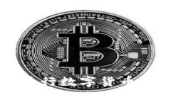 如何使用Tokenim安卓版进行