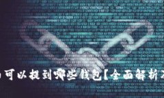 XRP币可以提到哪些钱包？全面解析及推荐
