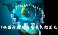 支持USDT的国际通用电子钱包推荐及使用指南
