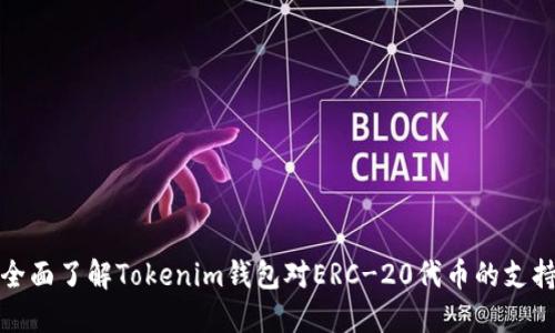全面了解Tokenim钱包对ERC-20代币的支持