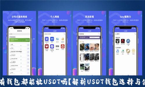 所有钱包都能放USDT吗?解析USDT钱包选择与使用