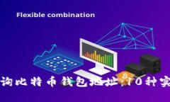 如何查询比特币钱包地址：10种实用方法