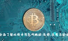 : 全面了解比特币钱包网地址：选择、使用与安全