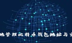 如何安全地管理比特币钱